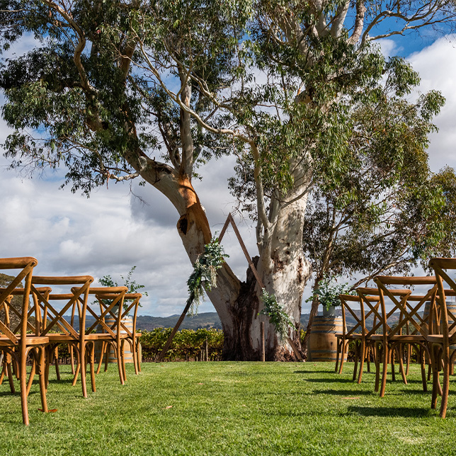 Celebrate Your Special Day at Nepenthe: Wedding Open Day Recap